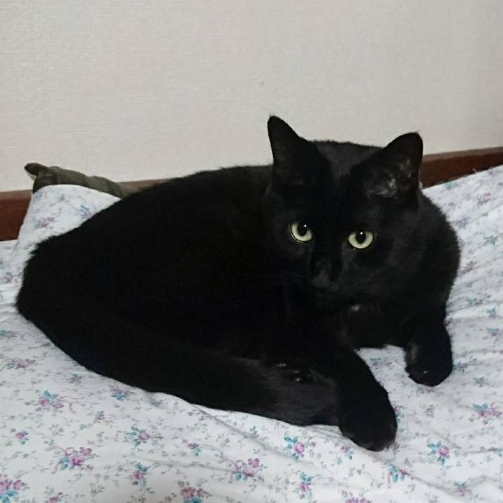 7adbb736 8afe 46a8 88bb e135377e420e 1534513864179