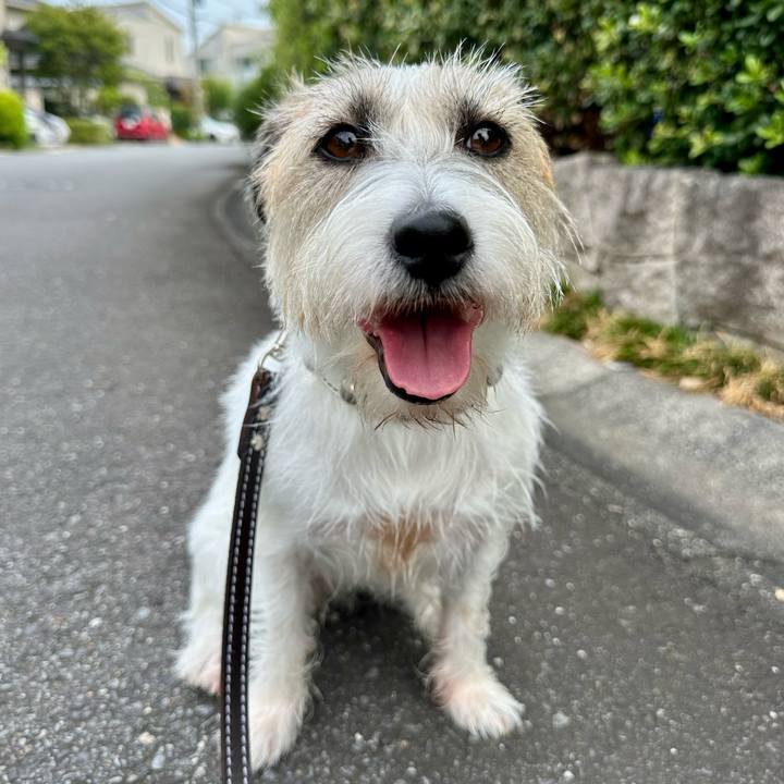 7adbbbc2 bc7d 4a1e b842 d26f18c27572 1755589499647