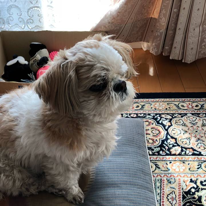 7adbcd96 e472 441f b465 ecf3b3c057e8 1518730886498