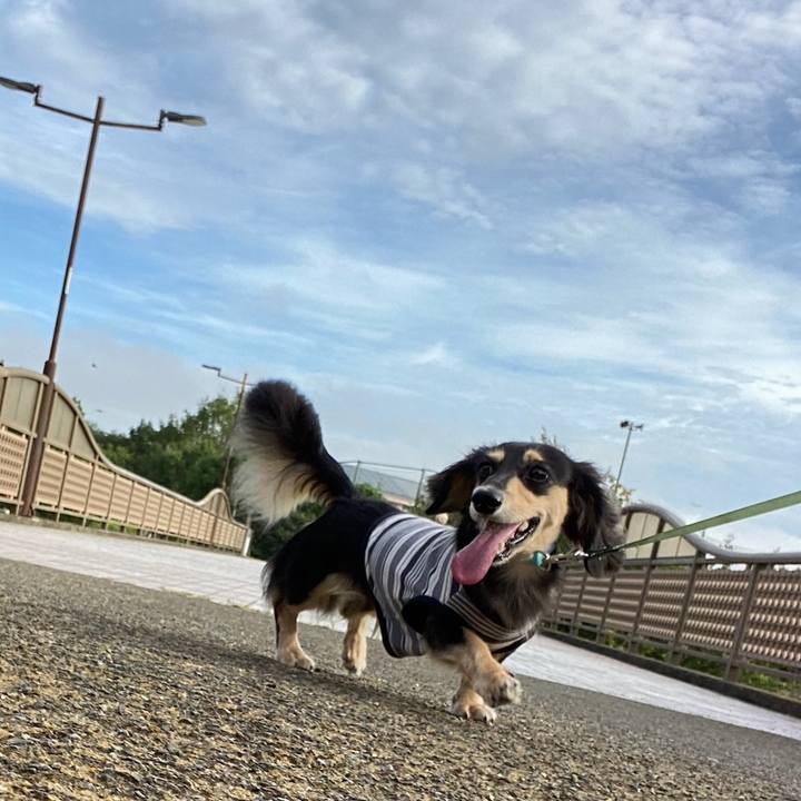 7adbd0c0 66ba 411c 9d0b 45c3f0a2640e 1694390418339