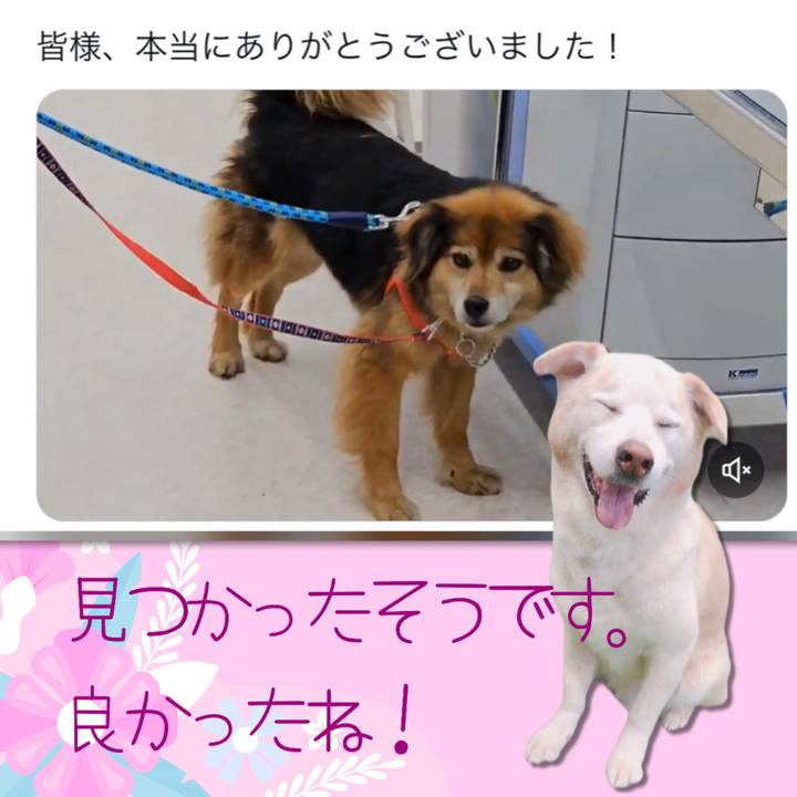 7adbdf8f 940e 4d8b a11c 08001748f908 1716690116209