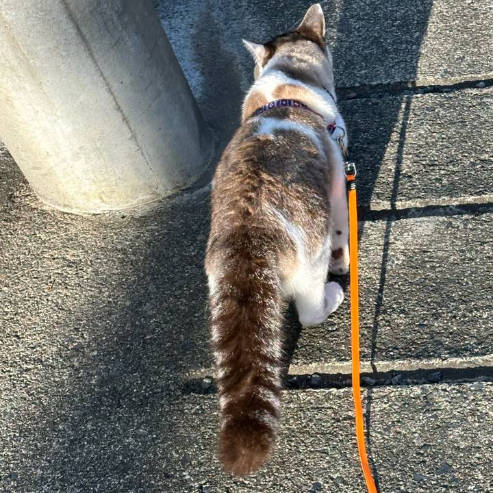 7adbf01c 79c8 4c8b a915 2e10d8f4305d 1743850147561