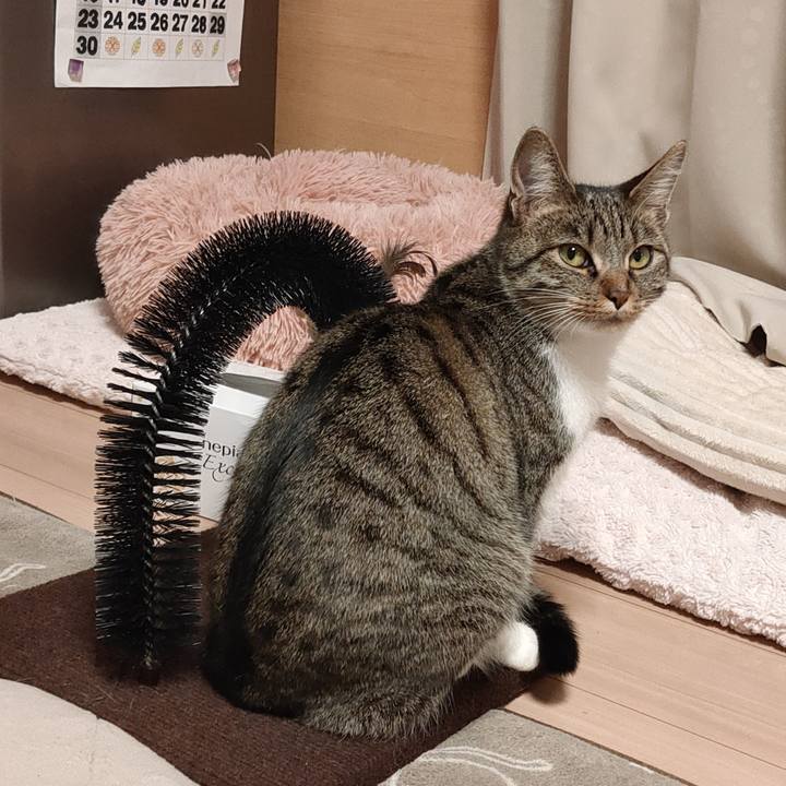 7adbf0fb a96e 4149 9985 1d29f27375e4 1682679399423