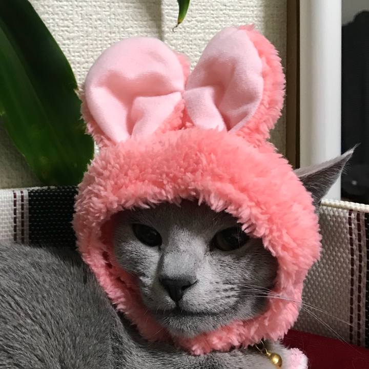 7adc028f 4505 4f52 9bbe 712e9c814b4d 1517748699147