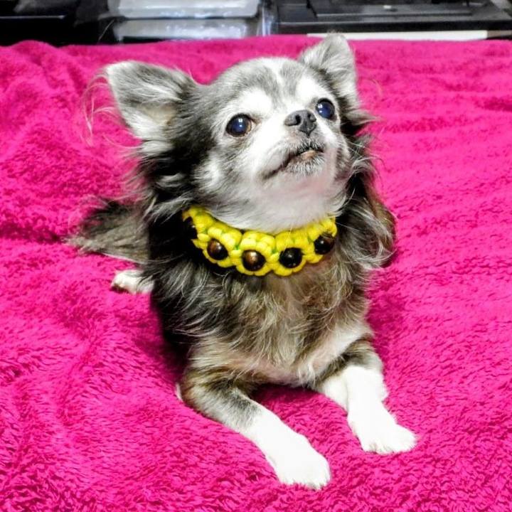 7adc3630 96db 4e71 9e3a d0908d616db3 1763640922199