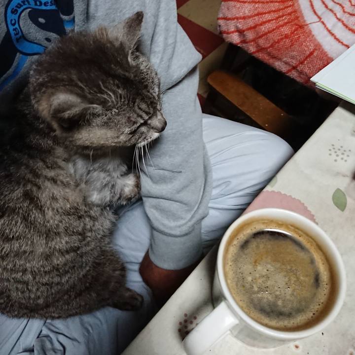 7adc846a 2042 4ba3 8373 b97974a925bf 1593027267103