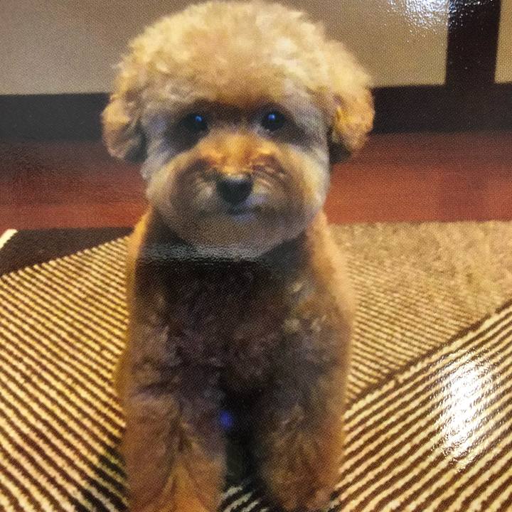 7adcab8b 4e1d 4af0 a9ee 796d4da2c73e 1549432301781