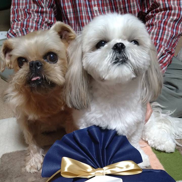 7adce4b0 cc47 49a0 8f05 d137b6ad72b1 1652050726961