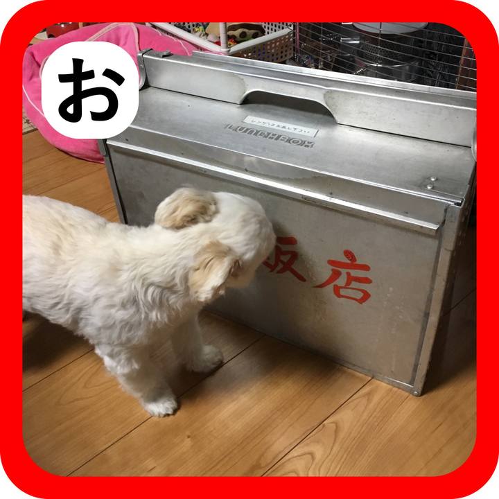 7add017e c6aa 4aca a374 c57dc8dbf61c 1514964717194