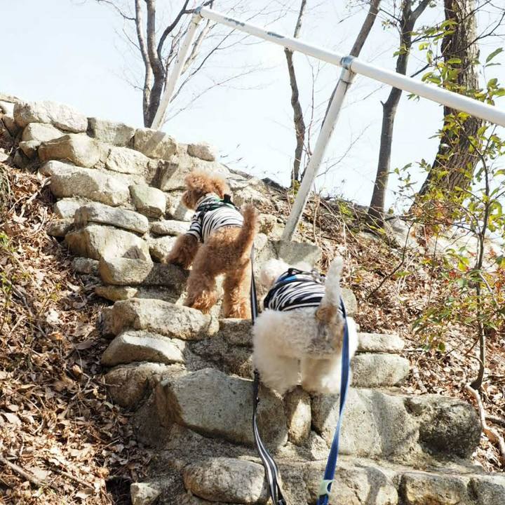 7add256d c983 44f2 9107 253ffab9af58 1521881509379