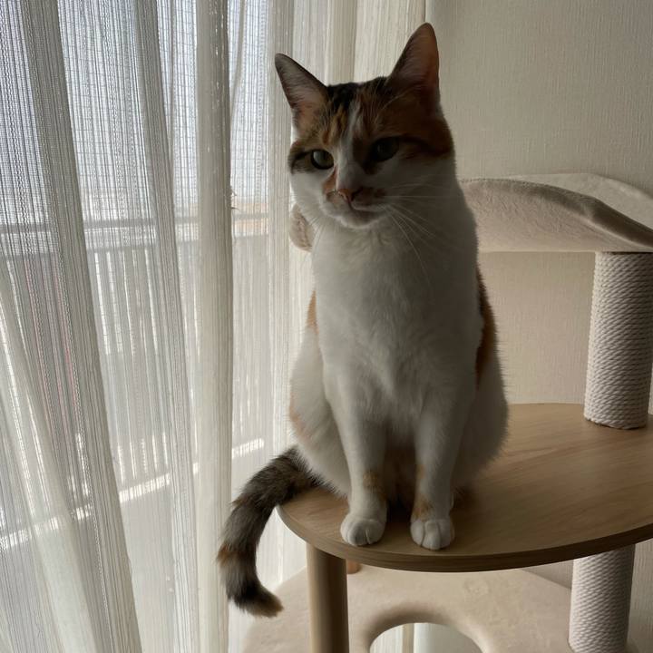 7add27a3 5078 4245 82ef 108319f28648 1616632198545