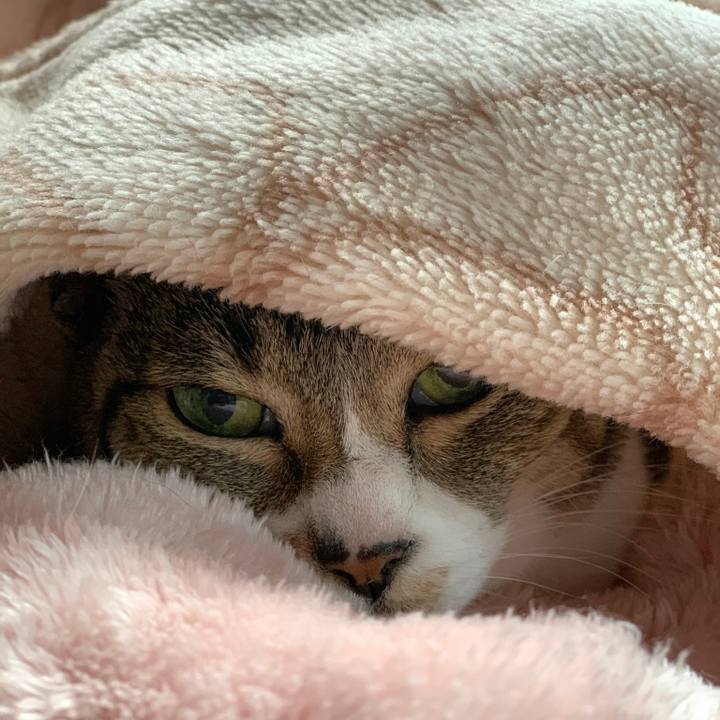 7add3239 0cec 477e b4bc 9841d52260cb 1578879471676