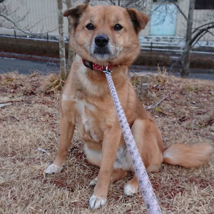 7add3af1 4a86 444c 842b a71296c57a05 1581816697345