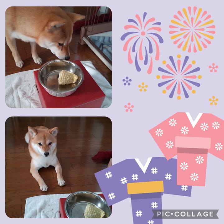 7add62be 396d 4b05 abcb 91fd16fe8dae 1691018030547