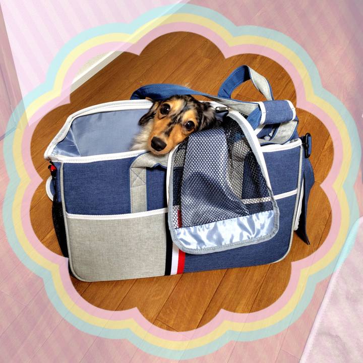 7add7a8c 0b1a 410a 987f f9698c64d188 1722163896753