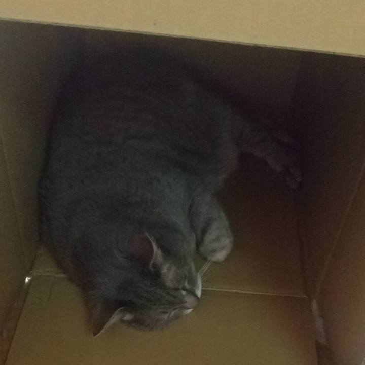 7add8214 749c 4a2f 9123 f8aa38a16ac5 1654067948635