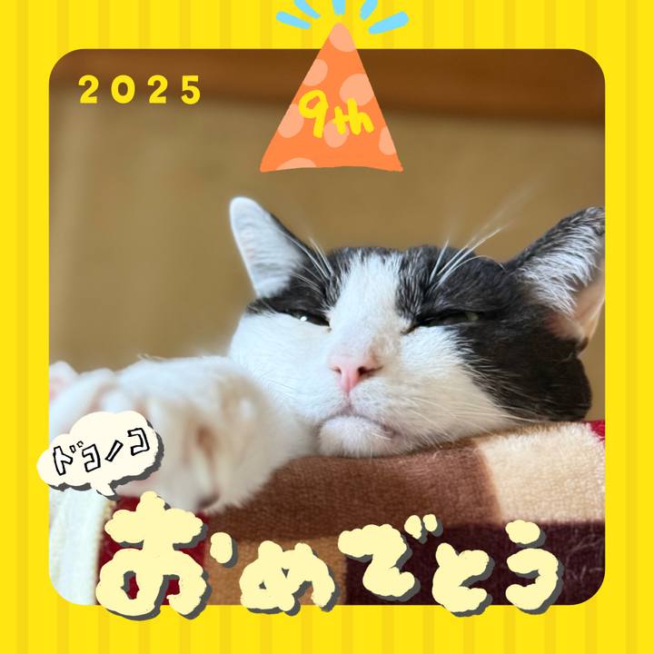 7addad84 6360 48d7 a3be 300338513546 1749092302699