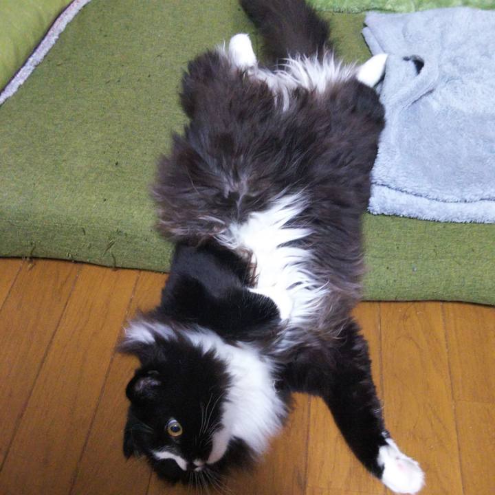 7addb477 4608 4976 b091 5aaa1512332e 1654641979086