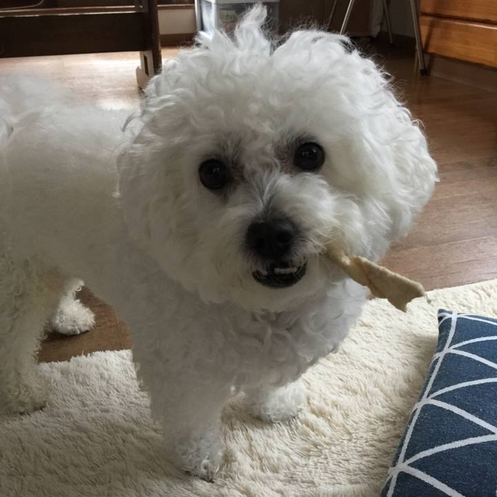 7addbfff 7dcd 4ade acb5 eb0ea54e60c3 1541718705470