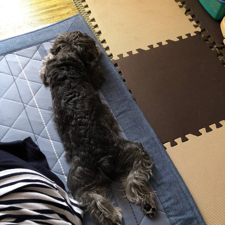 7addc661 42b4 4f81 a0da 00276dcb9387 1691300755475