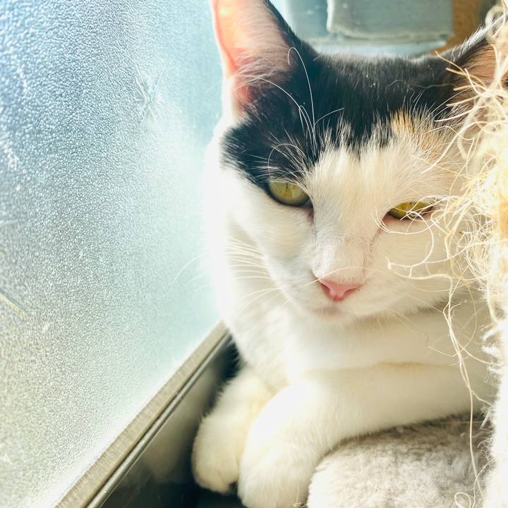 7addcbc2 873b 4815 91fc f0745d024f1b 1697543481628