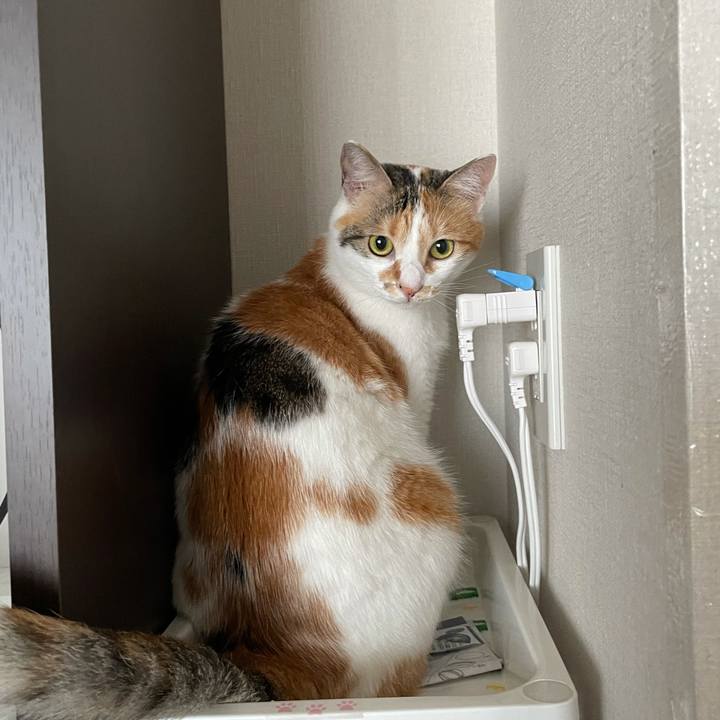 7ade178a e6ef 4b6c 95a7 9164ba0532ce 1624246360900