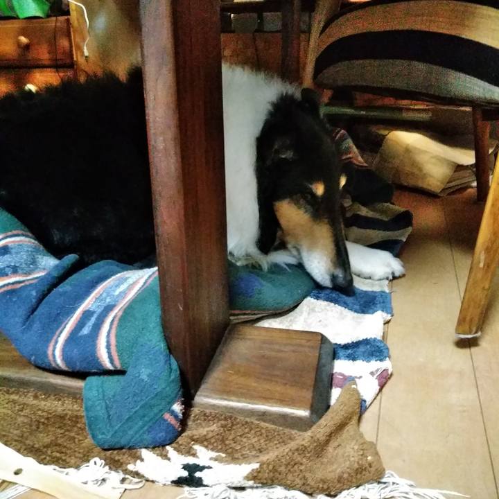 7ade8b99 bd48 4693 b925 586bf84d4ceb 1515672311502