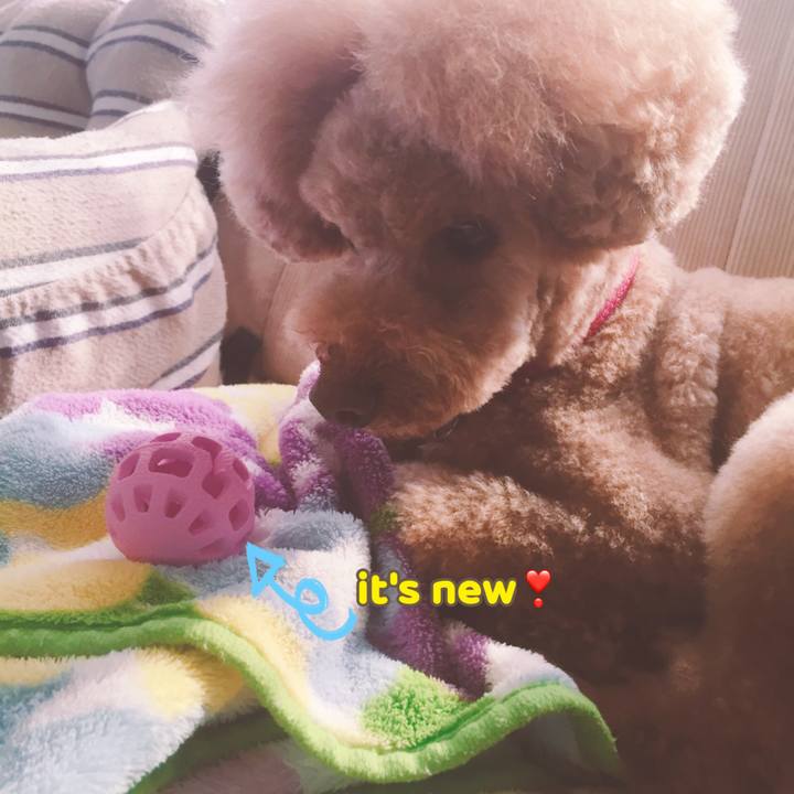 7adebfac 166e 44f3 a51e c1f1d099373d 1519624424748