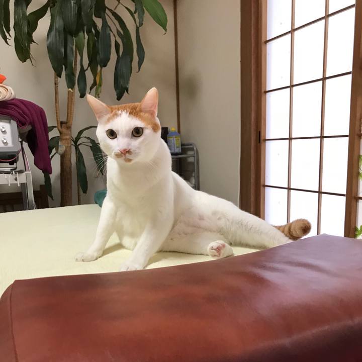 7aded2bf c45f 40e4 bd41 3a112154d089 1517659120520