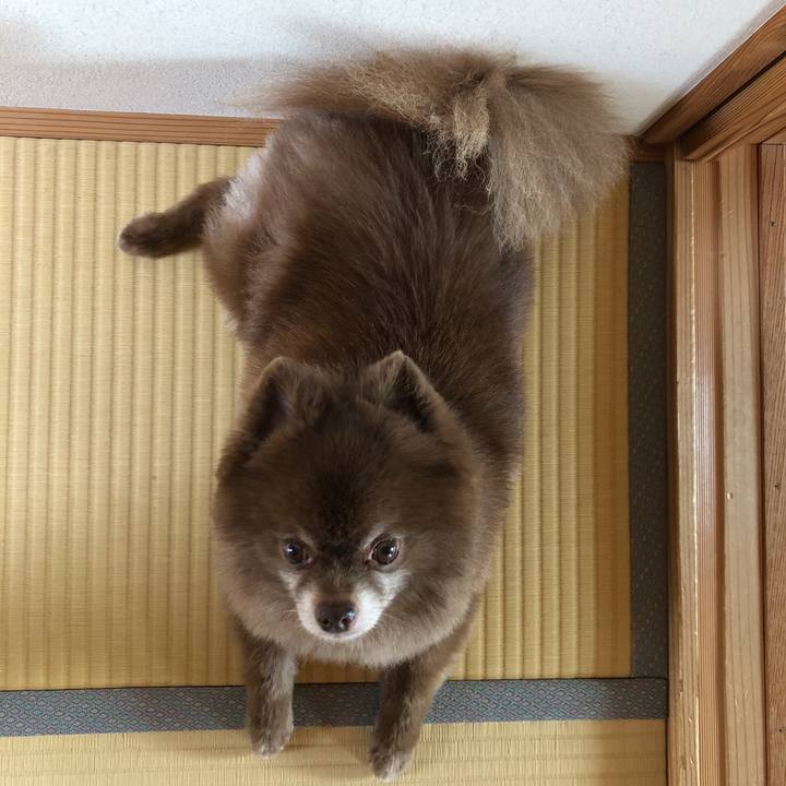 7adf12a7 c401 4b81 9a5f 4b6583d0751a 1567471679486