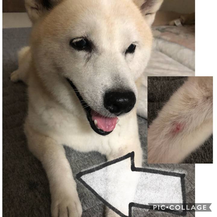 7adf16fb b65a 4fb3 88b1 ef3da512f225 1600141885597