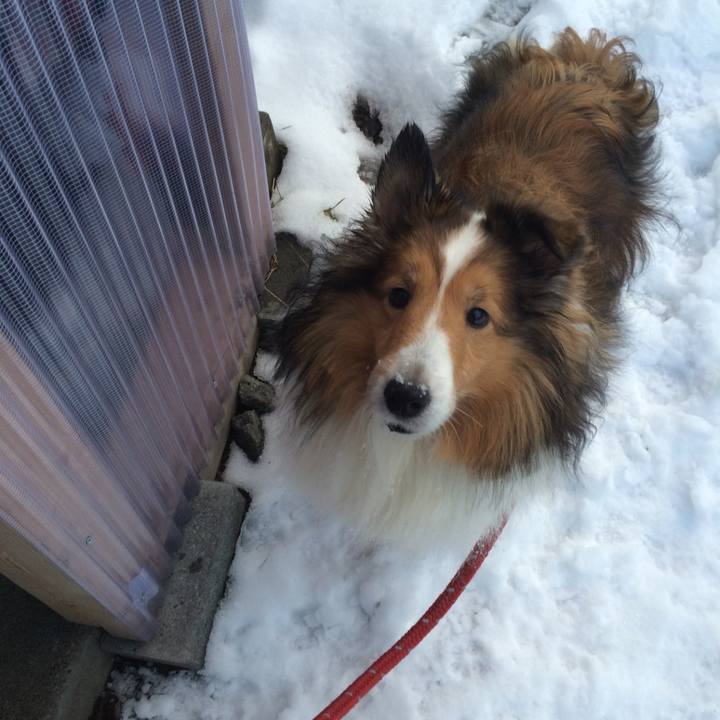 7adf31e4 2b89 4eef 8e36 6c09cd6c059c 1743400972252