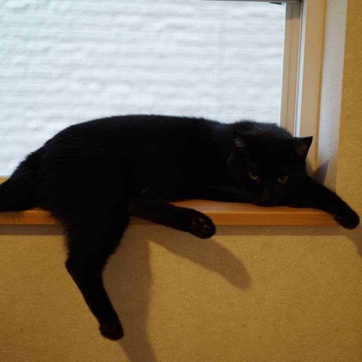 7adf5cb3 0054 4039 9724 64e15e892773 1566864038460