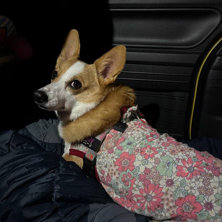 7adfa34a f426 4e47 829f 766e2eec65c1 1760273401491