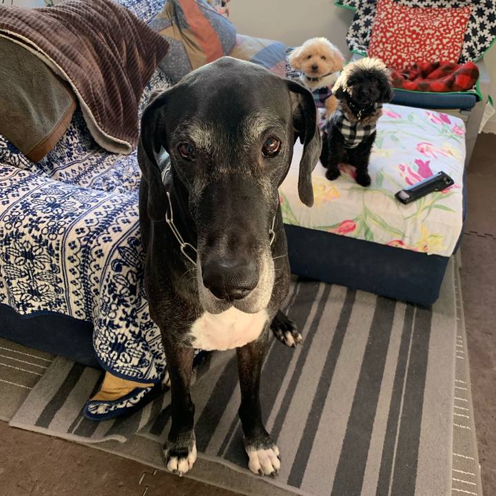 7adfb281 5efe 403d 92dc 967ccc818cc1 1548973893913