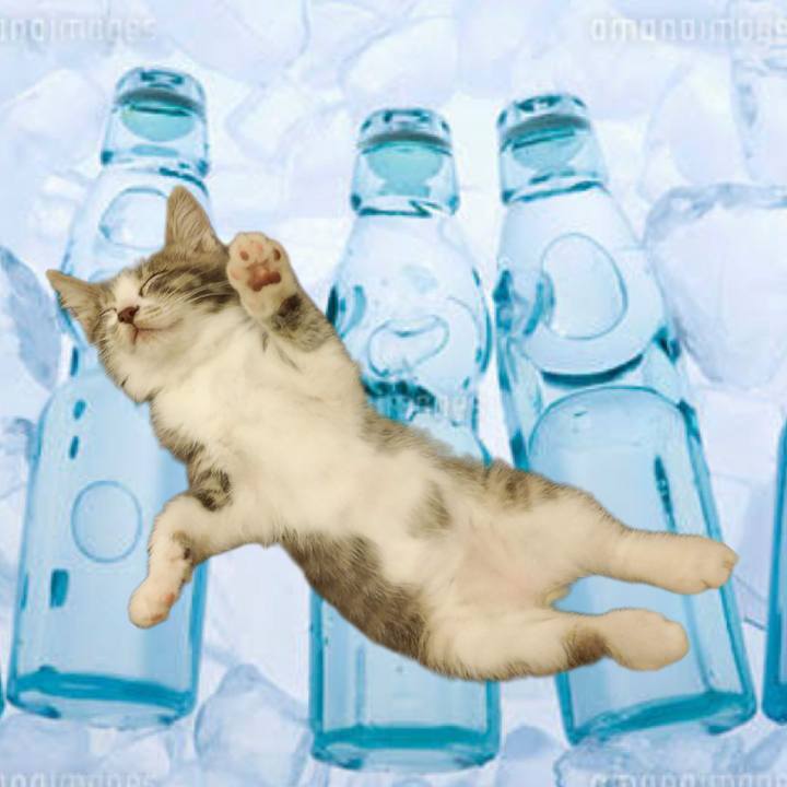 7adfbd6b 168a 439b b4b0 542ce832b175 1686698453429