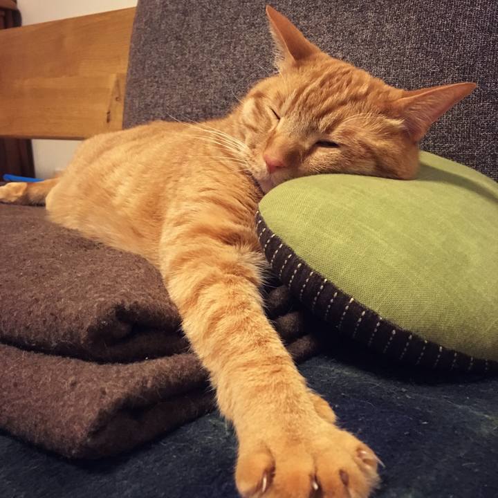 7adfc97c d559 41bd 9e8d 9601ba95b1e7 1522536455251