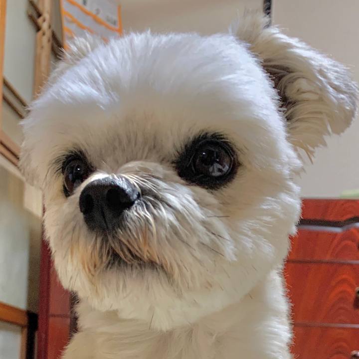 7adfdacf 6d87 453e 8575 122436efab02 1582288198333