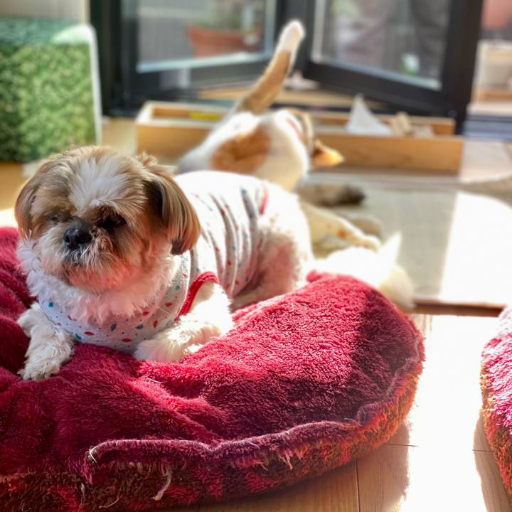 7adff853 b5dc 49d6 a504 60e91316e56b 1668301076063