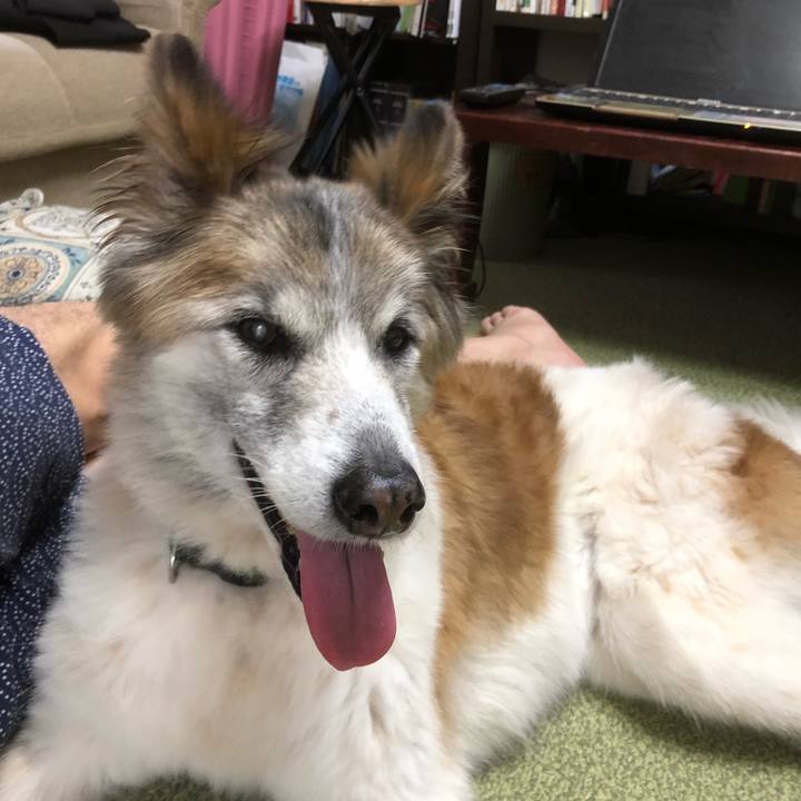 7adffd97 b8e5 453d 847a 2f61a894a65b 1537065472033