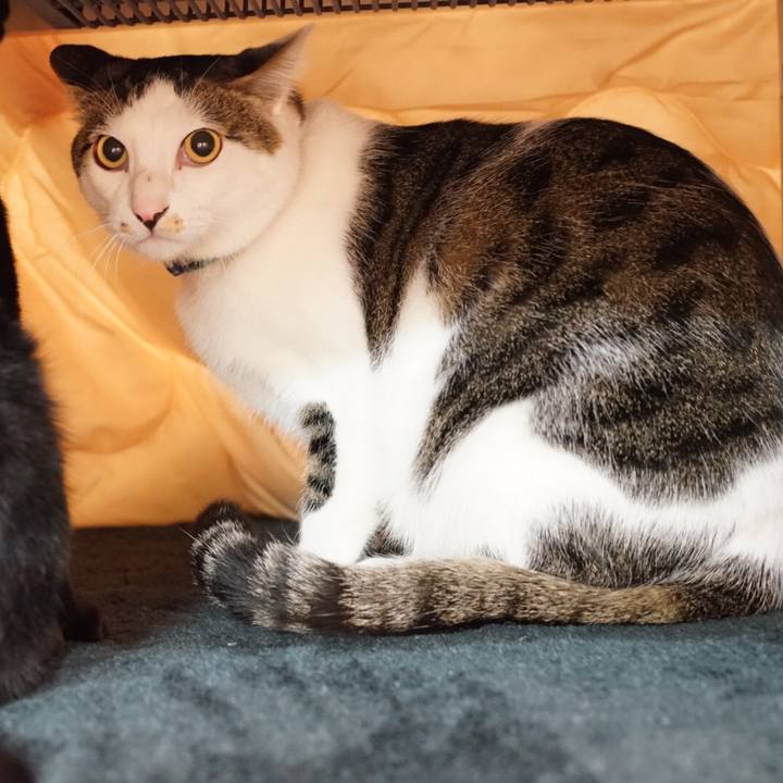 7ae025f0 e357 430a 94c8 f45a69cb3469 1516059677462