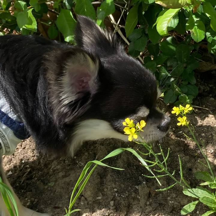 7ae036f4 f8c5 4934 8021 ef06a51c4ff9 1620103602078