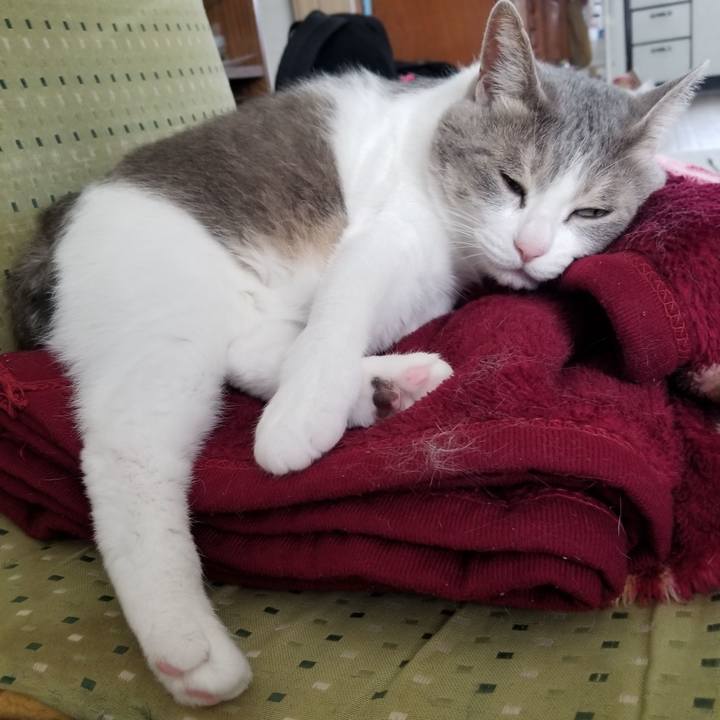 7ae0400b 0a35 431f 8250 642b5682c45e 1675145949495