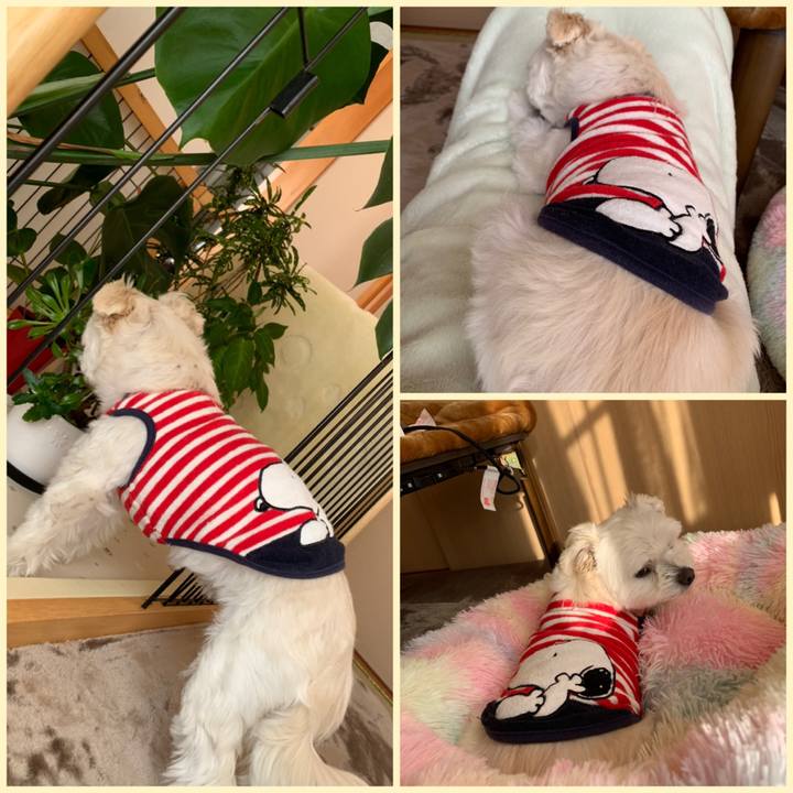 7ae045cc c144 4435 a672 d09144831532 1639565244453