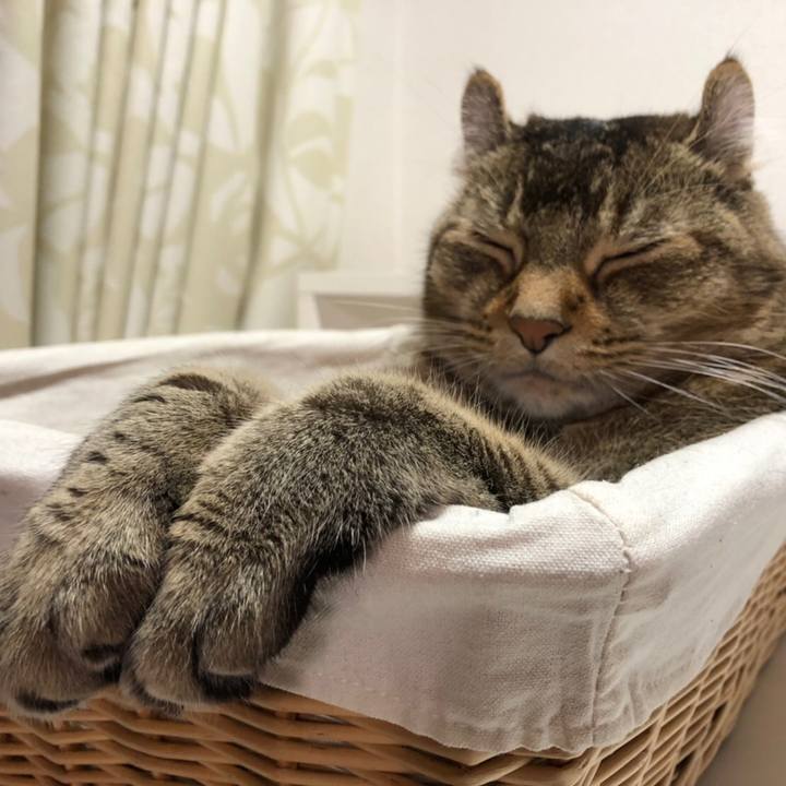 7ae04958 8948 4d83 8937 243a39c39a74 1591241754878