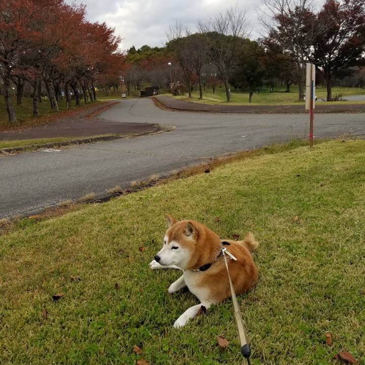 7ae05a45 48bc 4531 8e6f 8c16925387cf 1667112647279