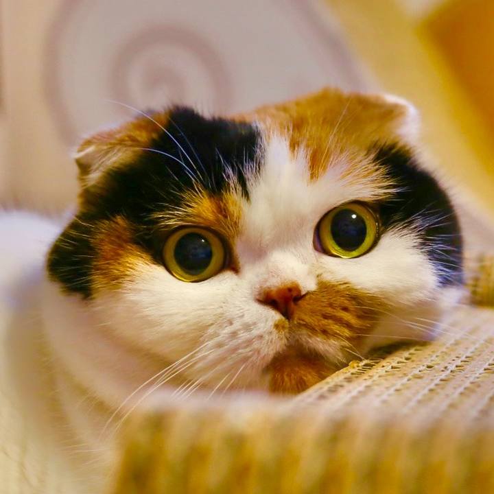 7ae0684b 6e68 4514 8711 7a418a1beba7 1641346663103