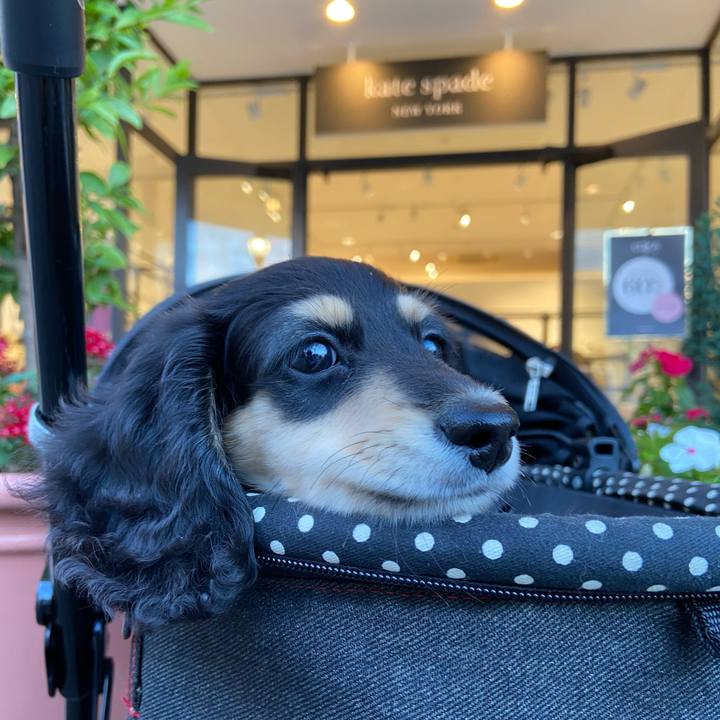 7ae071fd 1173 4891 ad25 868743fca598 1665828941005