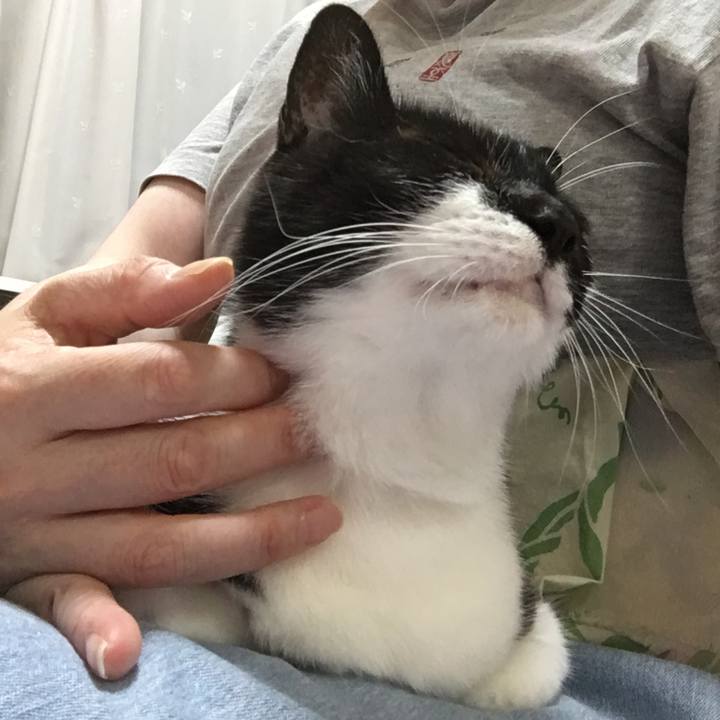 7ae0b26e 18ef 4359 b68d f14efa7b3b79 1566659565512