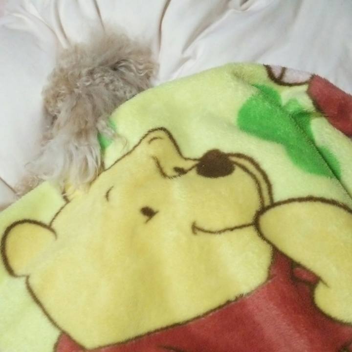 7ae1045e e112 4e85 b4b2 635e52ed3fd3 1520427243470